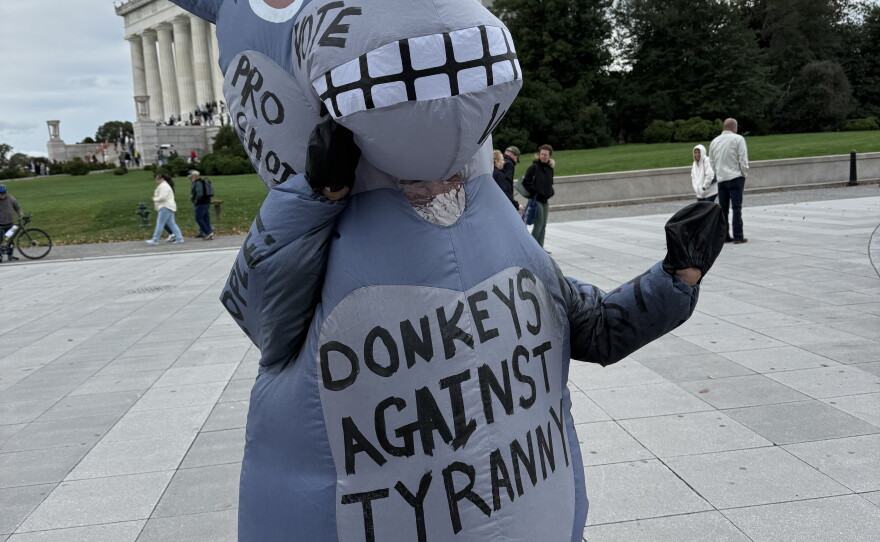 Athena Haresign wears an inflatable donkey costume at the No Kings rally in Washington, D.C.