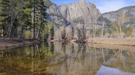 Yosemite Falls reflecting in the Merced River in the heart of Yosemite Valley. The Merced River is one of three major river systems that feeds California’s Central Valley. Yosemite Valley, Calif.