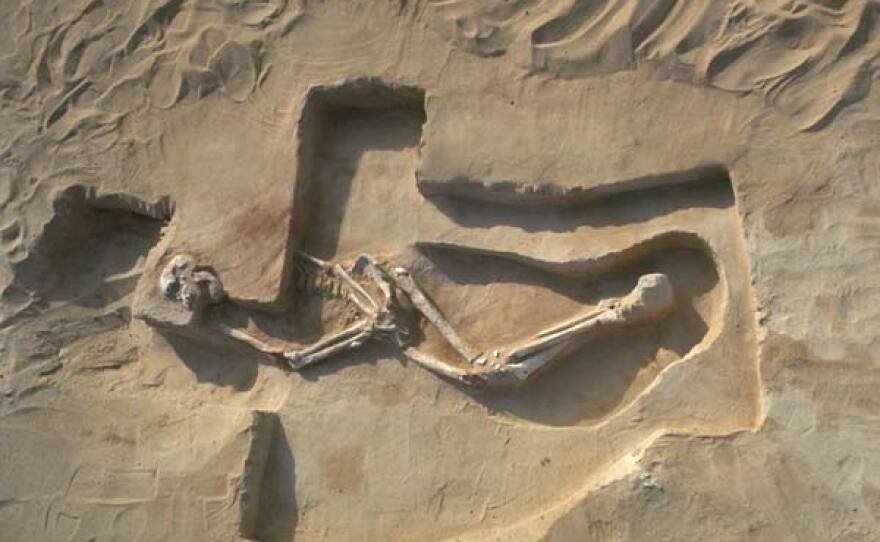 Mungo Man Skeleton