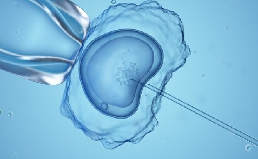 In states that outlaw abortion, some patients and health care workers worry that in vitro fertilization could be in legal jeopardy too.