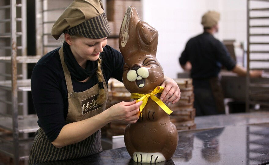 Employee Sandra Jaeckel adjusts a ribbon around the neck of a giant chocolate Easter bunny at the production facility of Confiserie Felicitas chocolates maker in Hornow, Germany, in 2014.