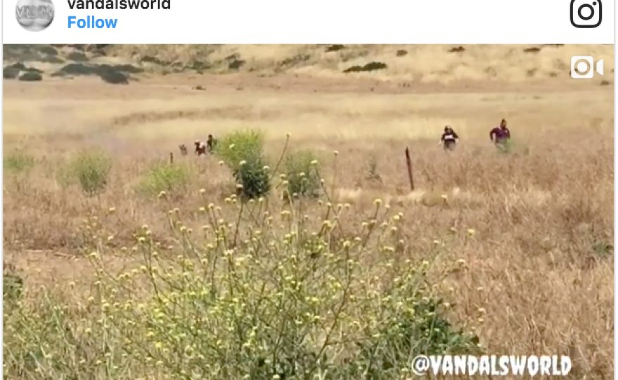 This screen shot of a video that was uploaded to Instagram reportedly shows the start of the Gate fire in Jamul and people running away from it, May 20, 2017.