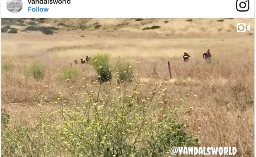 This screen shot of a video that was uploaded to Instagram reportedly shows the start of the Gate fire in Jamul and people running away from it, May 20, 2017. 