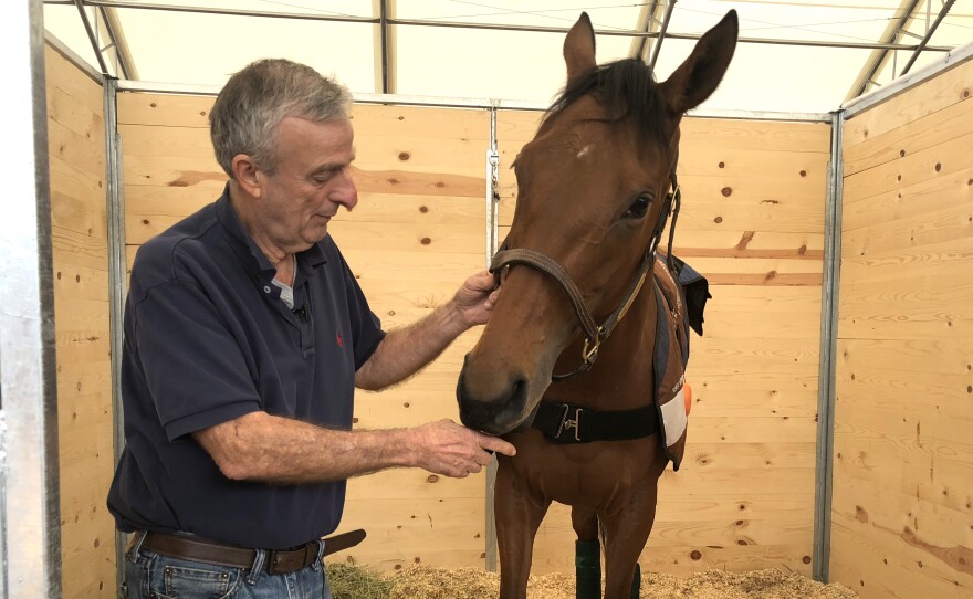 Pierre Bellocq tends to one of his horses inside new stables at the San Luis Rey Training Center in Bonsall, April 19, 2018.