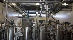 The UC Davis brewery where Charles Denby brewed the first batch of his GMO yeast is shown in this undated photo. 
