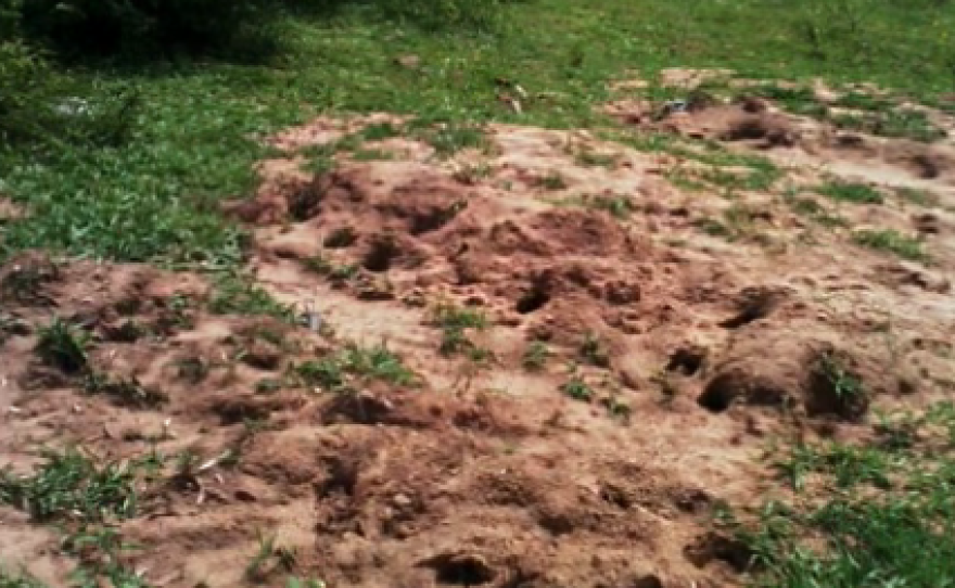 Amnesty International cross-referenced video footage and satellite imagery to determine the exact location of an apparent mass grave in Burundi.