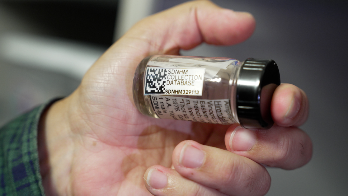 A fully cataloged specimen includes a QR code linking to information about the item on July 9, 2026.