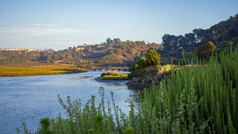 Looking upriver at the San Dieguito River and estuary near where it meets the Pacific Ocean at the San Dieguito Lagoon State Marine Conservation Area in Del Mar, California.