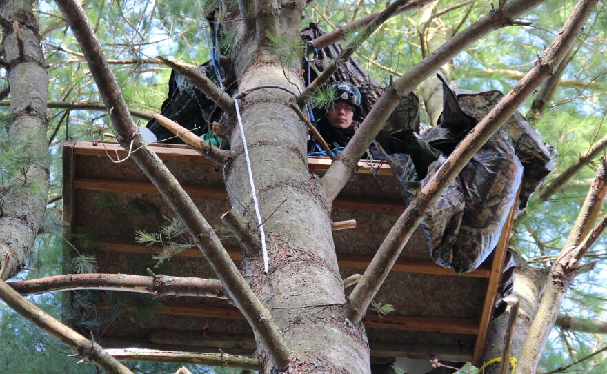 Elise Gerhart climbed a tree on her family's property in Pennsylvania rural Huntingdon County. She was trying stop a company from using eminent domain for a natural gas liquids pipeline.