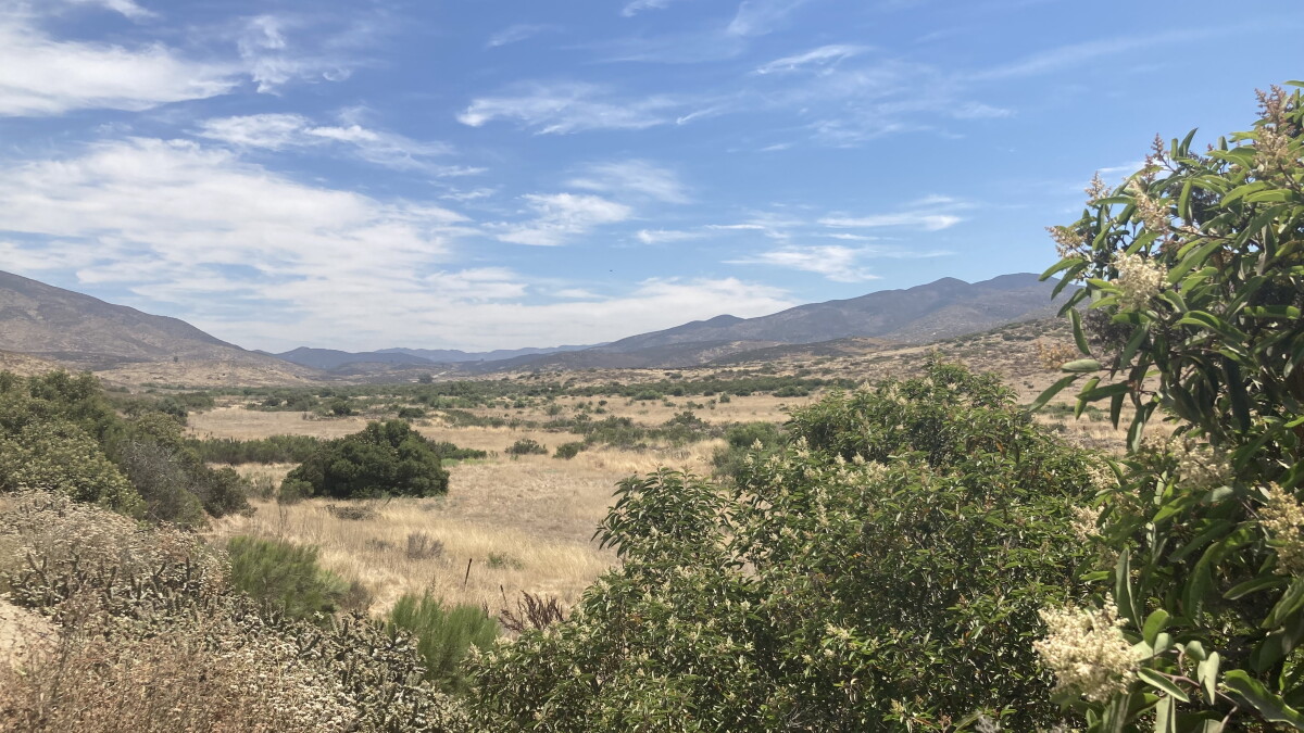 Border wall settlement could be conservation boost for San Diego - Vimarsana News