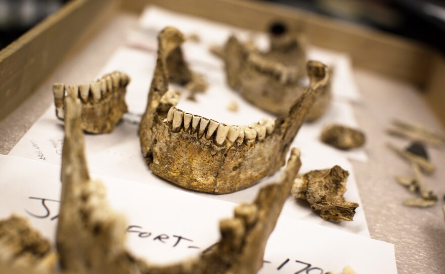 The teeth and mandibles of four male skeletons unearthed in Jamestown, Virginia now reside in Washington, D.C., at the Smithsonian's museum of natural history. Researchers believe they've now puzzled out the identities of the men: high-status leaders from the first few years of the Jamestown settlement.