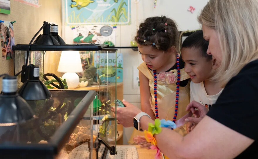 Transitional kindergarten teacher Elizabeth Swanson shows a frog to children at Silverwood Elementary School in the Mt. Diablo Unified School District in Concord on Aug. 11, 2025.