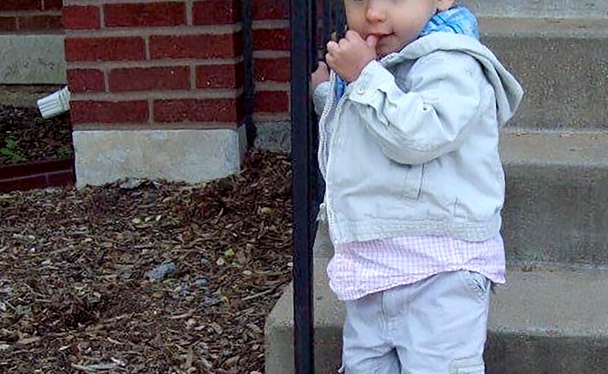 The blood lead level in Lisa Pascoe's son was five times higher than federal health officials deemed elevated in 2012. He was poisoned by lead from paint on the front window of his St. Louis, Mo., home.