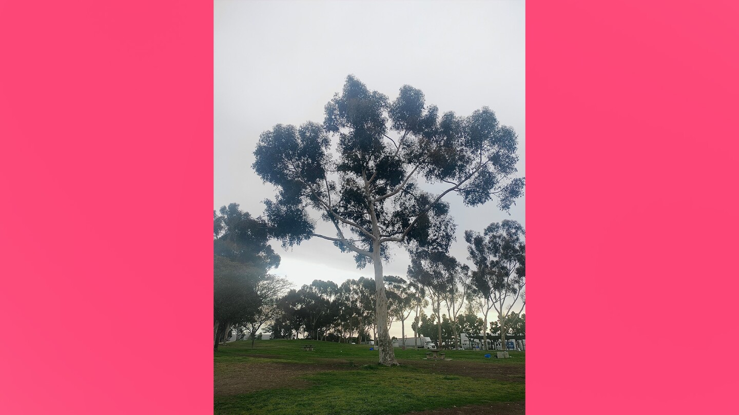 <b>Finding love in the pursuit of knowledge</b><br/><b>by Nancy Bahena</b><br/><br/>A love story that has always gifted me valuable life lessons is the pursuit of knowledge. The unknown has been a wonderful motivator, and discovering new things about the world, myself and others, has brought me great appreciation and satisfaction. Sometimes the lessons have been dynamic, and other times they've been straightforward. Nonetheless, I allow myself to nourish that curiosity and remain grateful for all of the tears spilled in frustration, the bellowing laughter and everything in between.<br/><br/>I encourage anyone who currently yearns for insight into something they seek to go after it. Regardless of the outcome, I know that the journey itself will be worth it. Rest assured, this love story with knowledge is one I hope you'll remember too!<br/><br/>