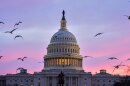 Birds fly by as the sun rises behind the U.S. Capitol on March 18, 2026.