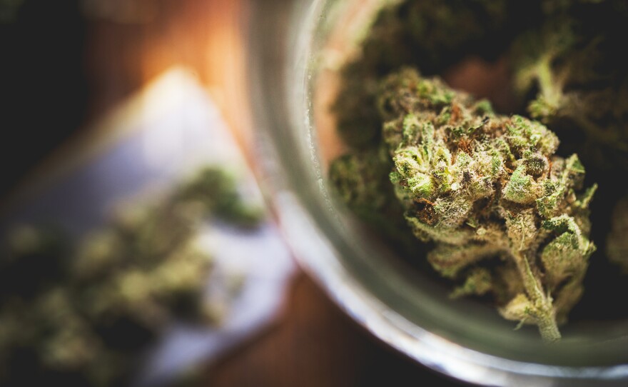 Researchers say it's too soon to say if marijuana could help humans with Alzheimer's, but experiments in mice showed some effects.