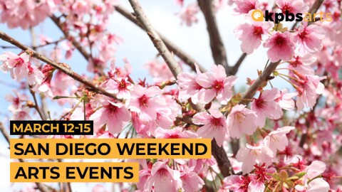 Cherry blossoms are shown in an undated photo at the Japanese Friendship Garden in Balboa Park.