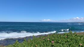 Waves crash along the La Jolla shoreline, March 12, 2019. 