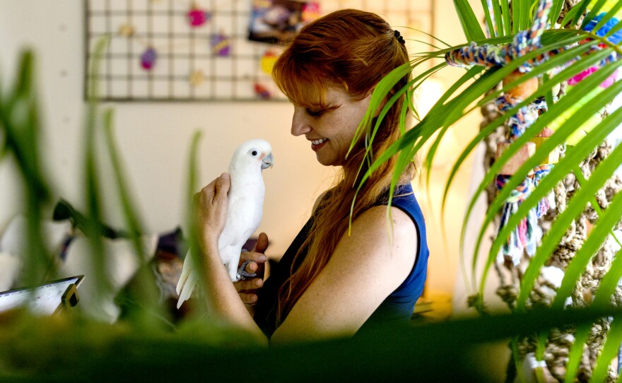 Jennifer Cunha with Ellie the cockatoo at her home in Florida.