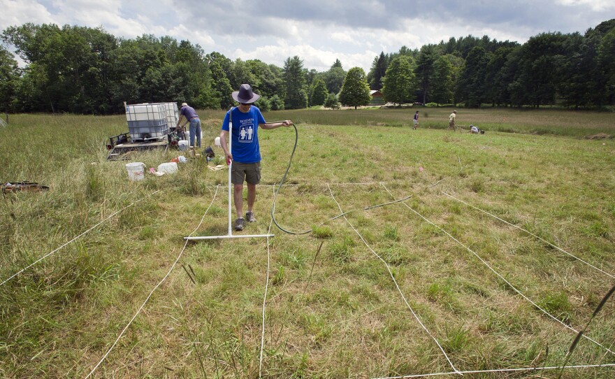 Abraham Noe-Hays, research director of the Rich Earth Institute in Vermont, applies urine to a five by five-meter test plot on a hay farm.