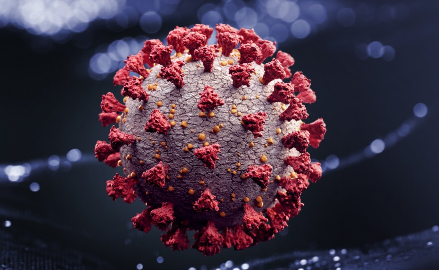 A computer rendering of the SARS-COV-2 virus.