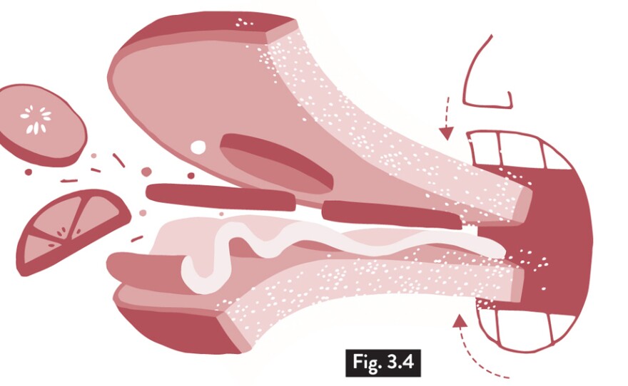 Cucumbers tend to slide out the back of a sandwich when confronted with bite force, writes Pashman in Eat More Better.