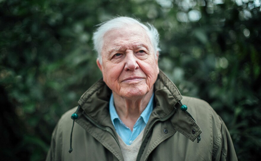 Sir David Attenborough