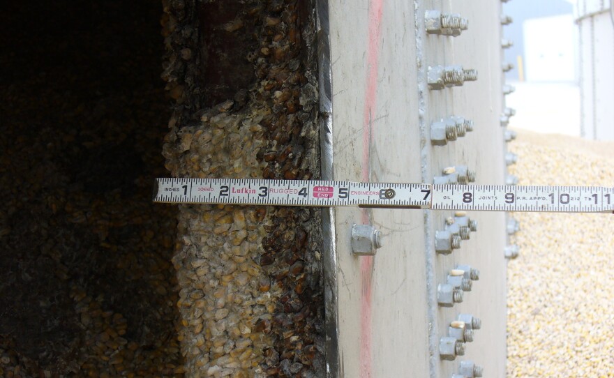 OSHA investigators took this photo of crusted corn, also known as bridged corn, stuck to the side of Haasbach's Bin No. 9 shortly after the July 2010 deaths. Working under bridged corn is prohibited by federal law because it can peel away without warning and trap workers.