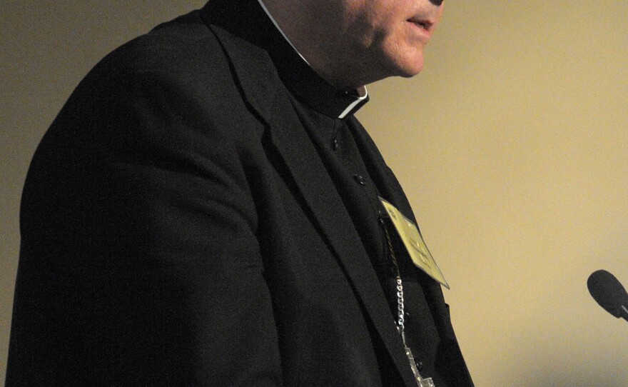 Archbishop Joseph Naumann, of Kansas City, presents a report on stem-cell research during the general meeting of the U.S. Conference of Catholic Bishops in Orlando, Fla., Thursday, June 12, 2008.