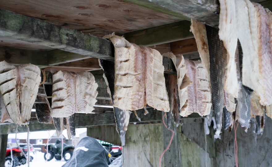 Fish dry outside a home in Toksook Bay.