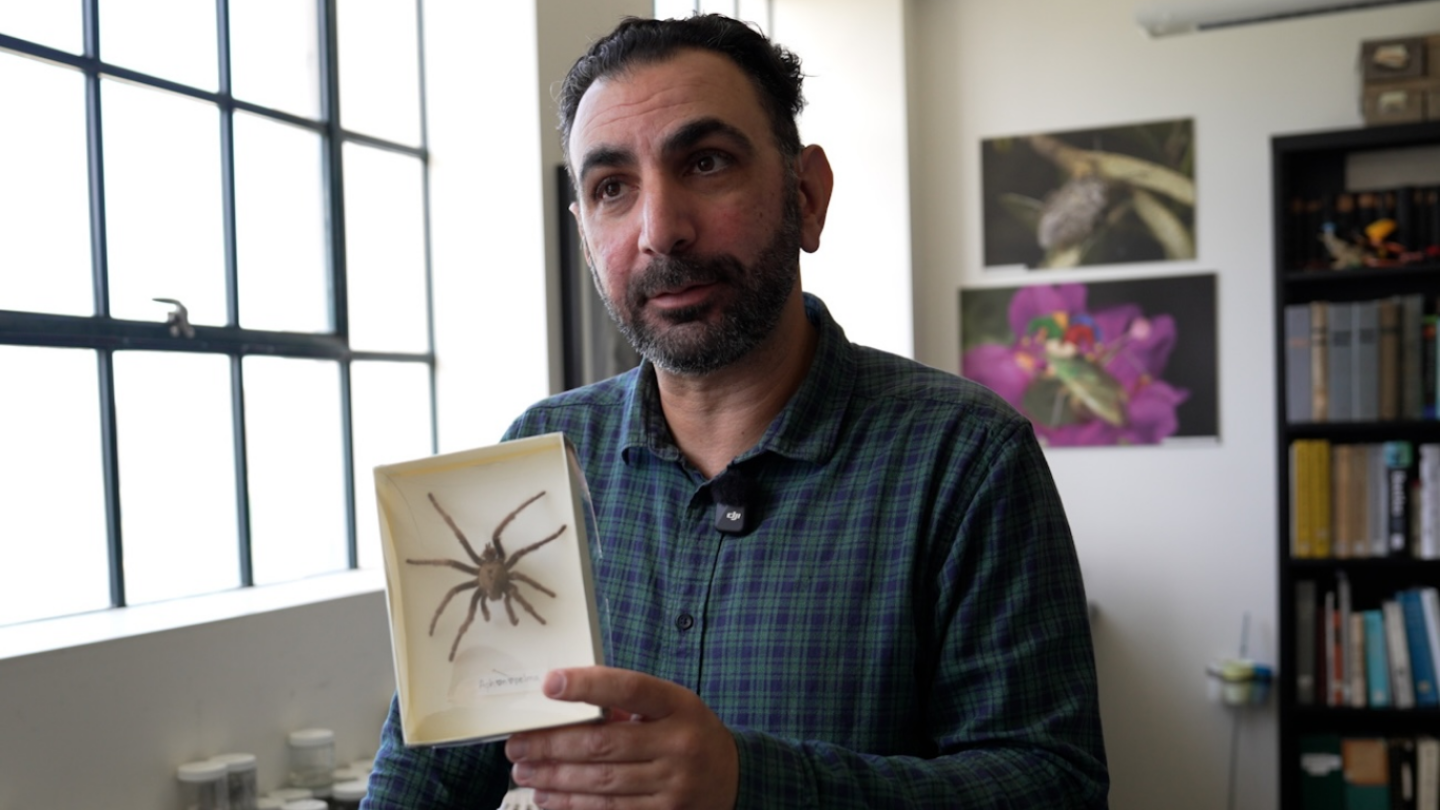 Dr. Shahan Derkarabetian with a tarantula