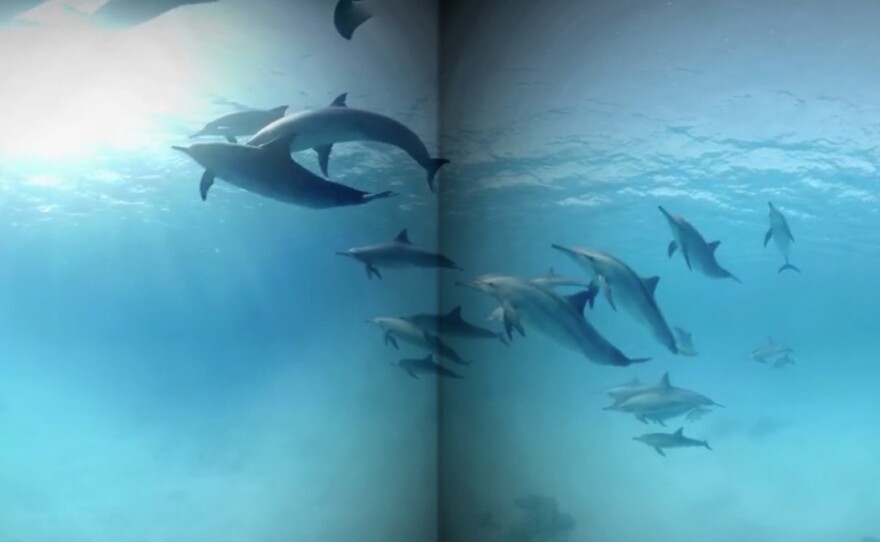 Though not the same as actually jumping into the waves, a virtual reality program like this one that let a headset-wearing patient "swim with dolphins" was enough of an immersive distraction to significantly reduce pain, a study found.