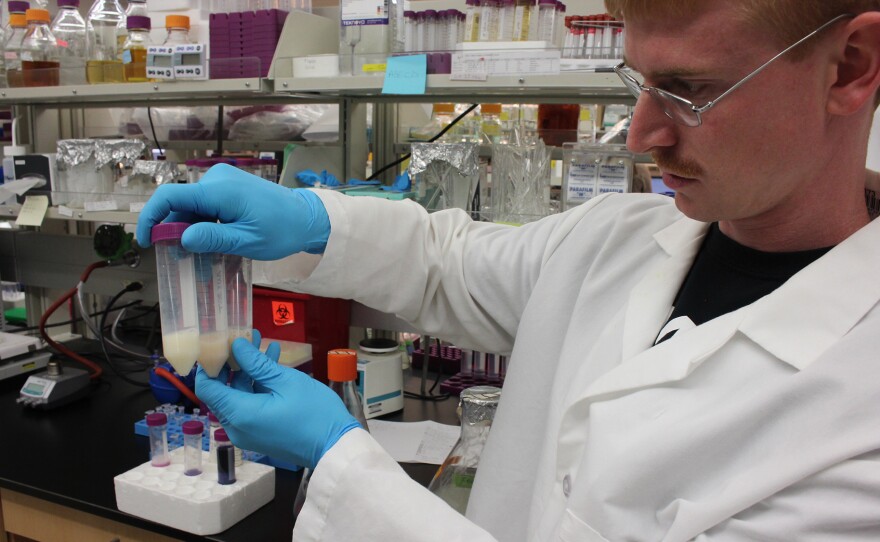 Andrew Jones, a graduate student at Rensselaer Polytechnic Institute, looks at test tubes filled with bacteria that are producing antioxidants.