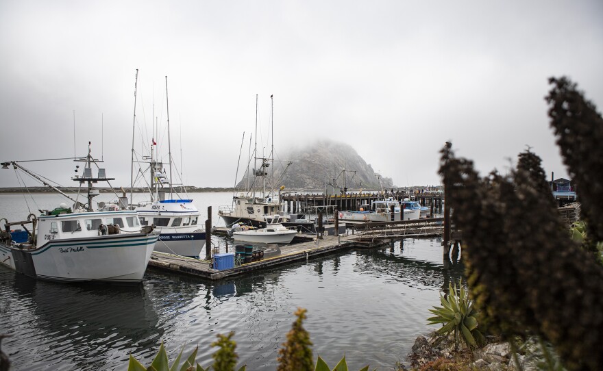 The sea port of the city of Morro Bay on July 18, 2023. Morro Bay would have increase the size of their sea port when the state lease planned offshore wind farm is constructed. 
