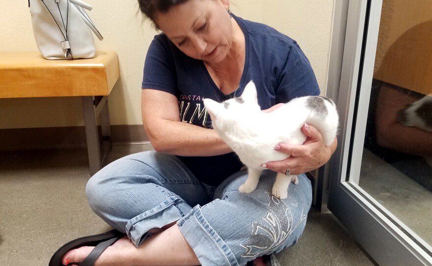 Kerri Ross, a volunteer with Cat Adoption Services, cuddles a cat up for adoption at a Carlsbad pet store, Oct. 16, 2019.