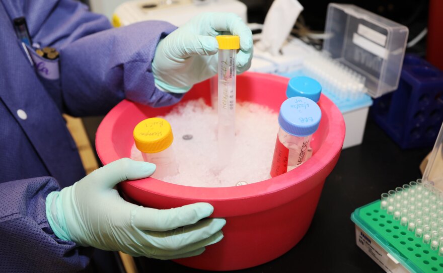 A research assistant with the Emerging Infectious Disease Branch (EIDB), at the Walter Reed Army Institute of Research (WRAIR), studies coronavirus protein samples, June 1, 2020. The EIDB is part of WRAIR's effort to produce a COVID-19 vaccine candidate.