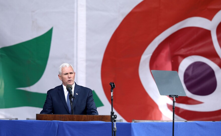 Vice President Pence addresses the rally on the National Mall on Friday.