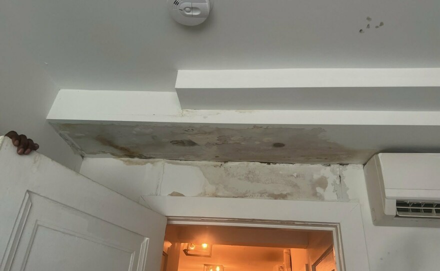 Children's Law Center documented mold from water damage in the bedroom of Kanna Bowen's apartment, as well as evidence of cockroaches and other pests. These problems contributed to Bowen's daughter's severe asthma.