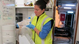 Moira Décima pours salp into a larger container on while on the New Zealand research cruise in 2018