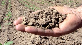 Earth from a beet field in northern France hit by drought — the country's worst in 50 years. Crop shortages in Europe and the U.S. have led some experts to predict a rise in grain prices like those that sparked riots in 2008.