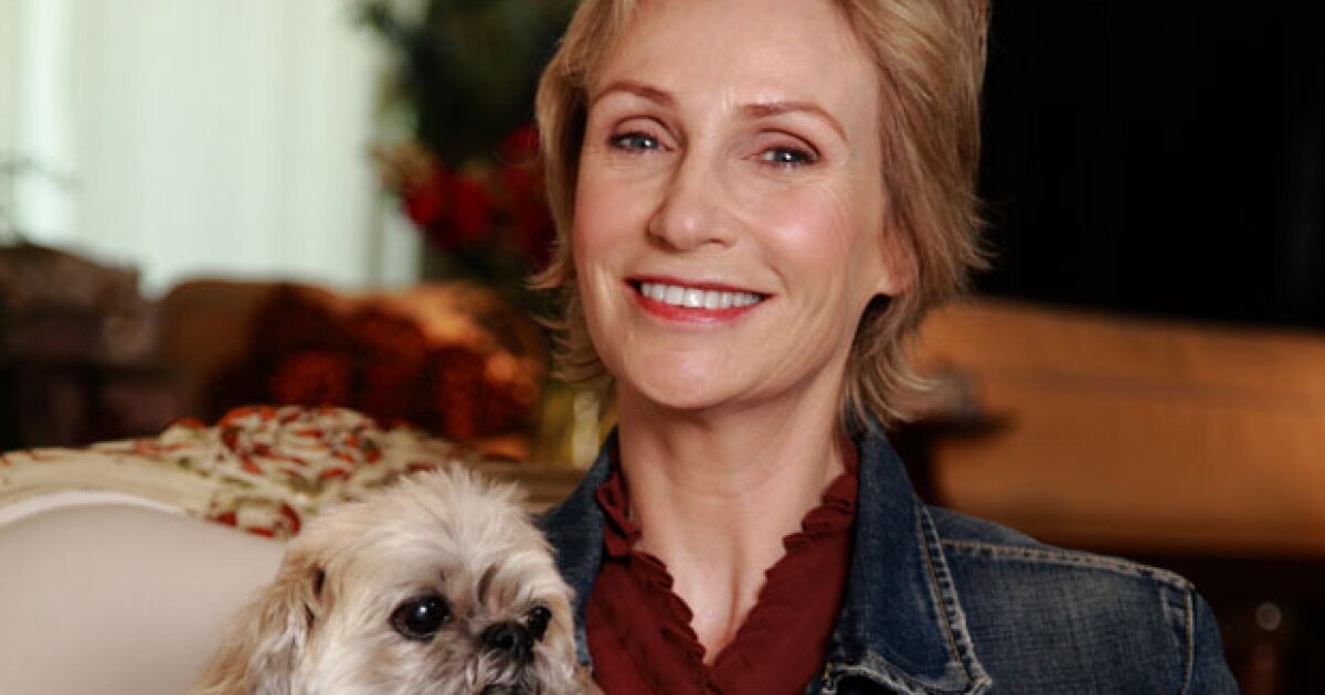 SHELTER ME Let's Go Home KPBS Public Media