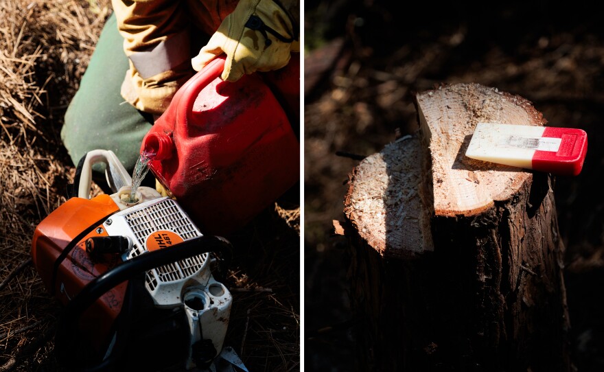 Members of the National Guard's Task Force Rattlesnake use chainsaws, axes and chippers to remove deadwood that could fuel a fire.