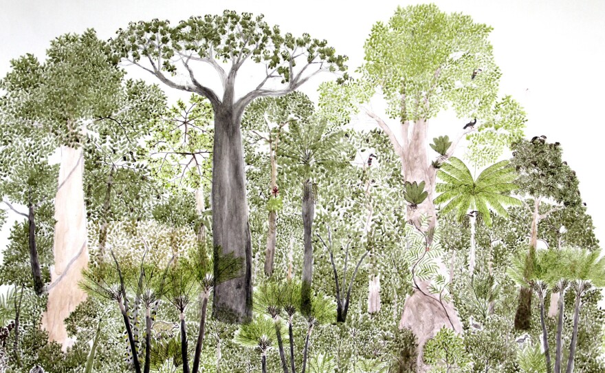 This is one of 12 rainforest landscapes by Abel Rodriguez, part of his ink-and-watercolor series Ciclo anual del bosque de la vega (Seasonal changes in the flooded rainforest).