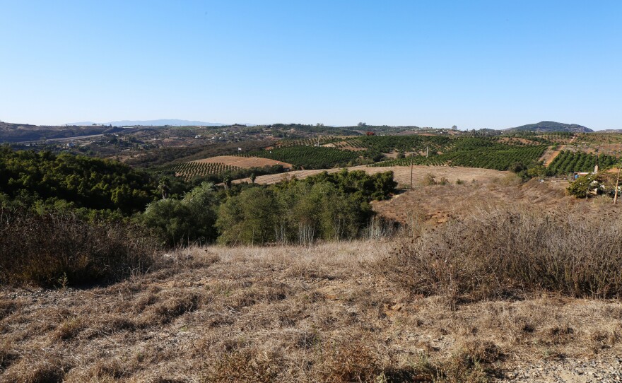 A view of Jim Pardee's 70-acre lemon farm in Valley Center surrounded by Accretive-owned land. Oct. 21, 2016.