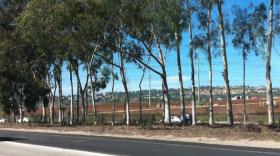 The strawberry fields east of Interstate Five in Carlsbad, where the proposed Agua Hedionda 85/15 Project would be built, Aug. 5, 2015