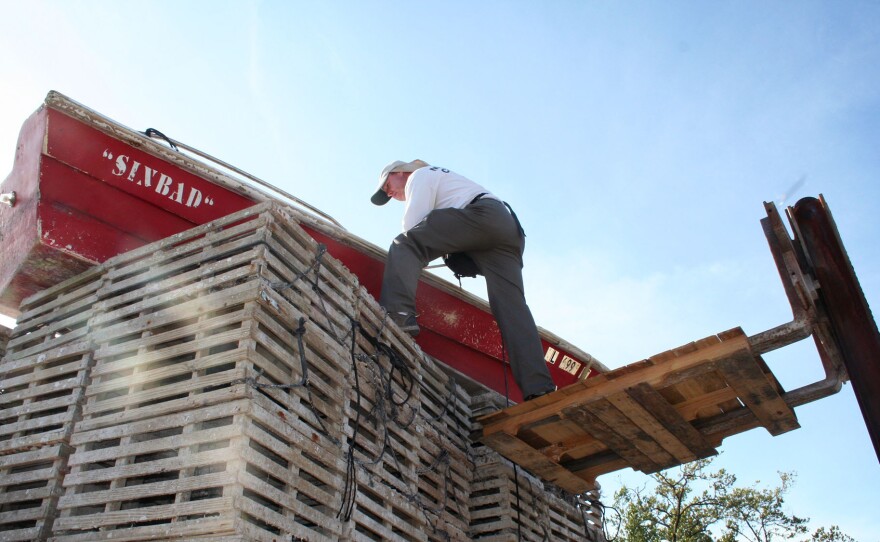 Mosquito control inspector Billy Ryan climbs atop a stack of lobster traps on Stock Island, near Key West, to check a boat for water — and for mosquito larvae.