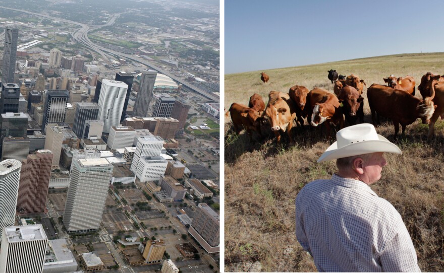 Downtown Houston (left) is shown in this 2008 file photo. Cattle rancher Ron Gill (right) looks over his herd as he checks his livestock's grazing pasture in rural Wise County near Boyd, Texas in 2012.