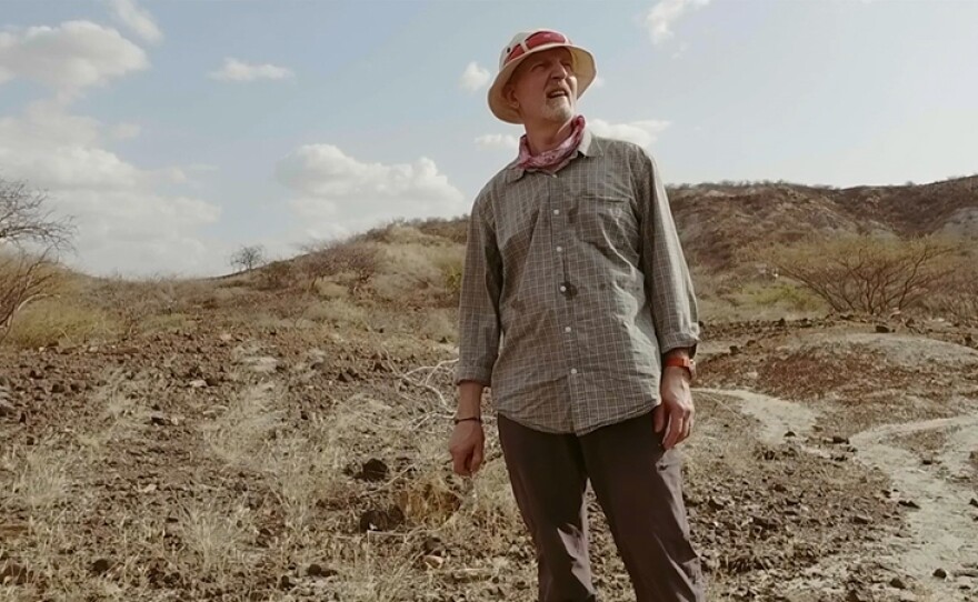 Dr. William Sanders studies elephants in the Turkana Basin, where his research provides evidence that early humans benefited from the presence of elephants, who cleared the landscape and made living conditions possible for humans.