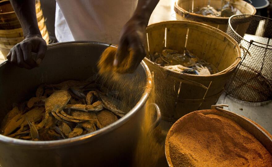 A chef puts Old Bay seasoning on blue crabs in Maryland.