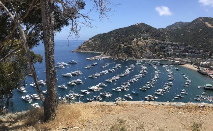 "Burrito Point" overlooking Avalon Harbor in an undated photo.